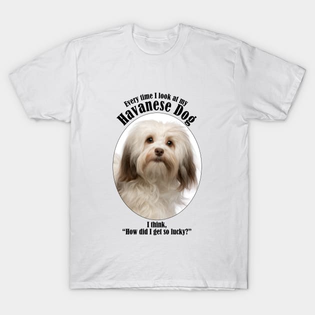 Havanese Dog Traits T-Shirt by You Had Me At Woof